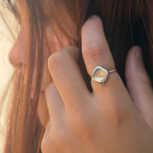 Dainty Abalone Shell