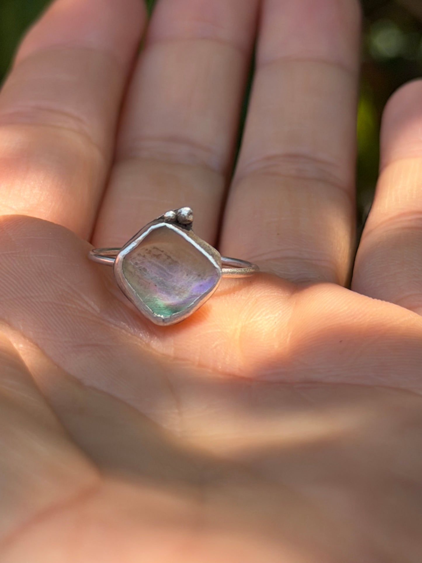 Dainty Abalone Shell