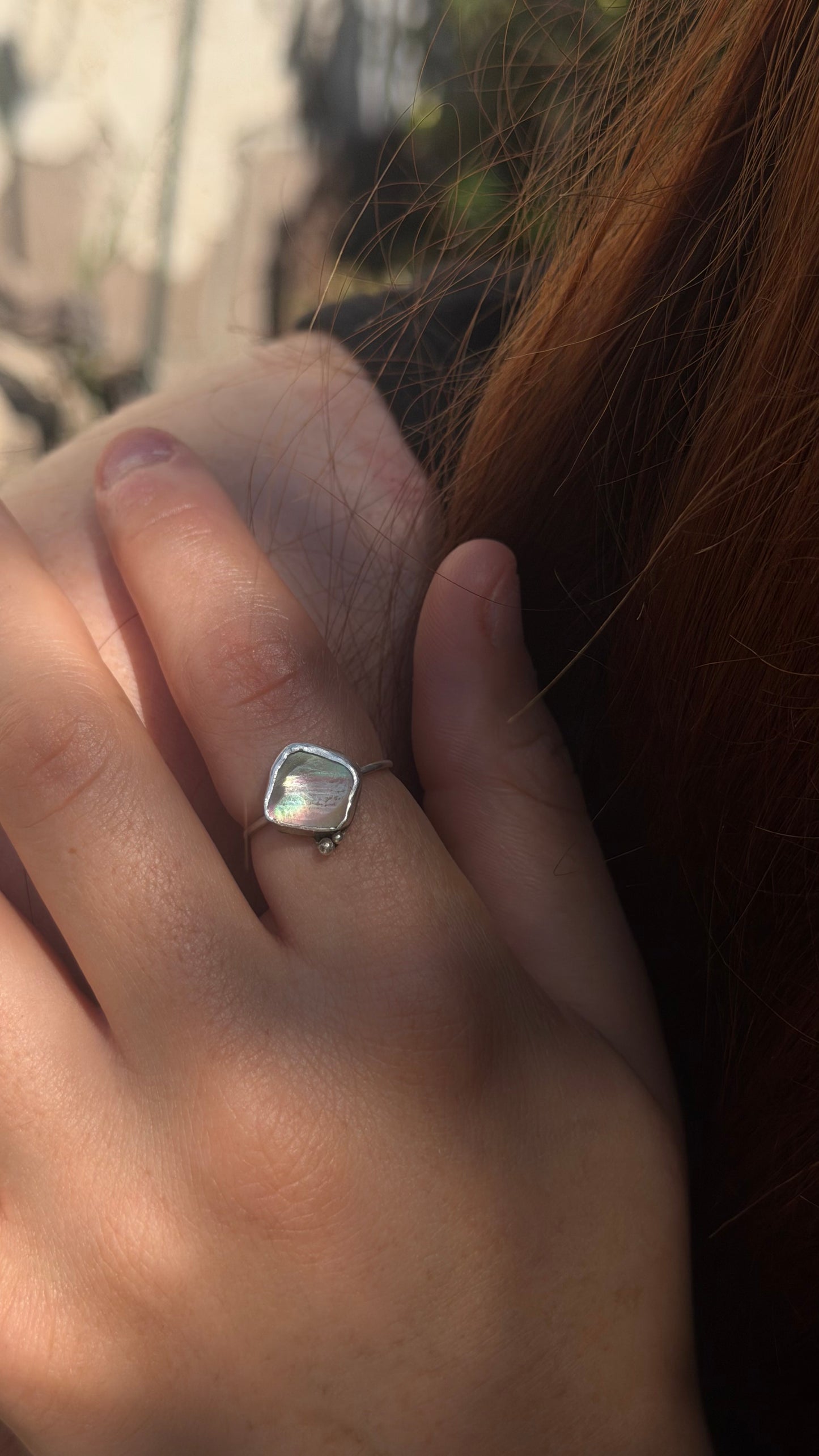 Dainty Abalone Shell