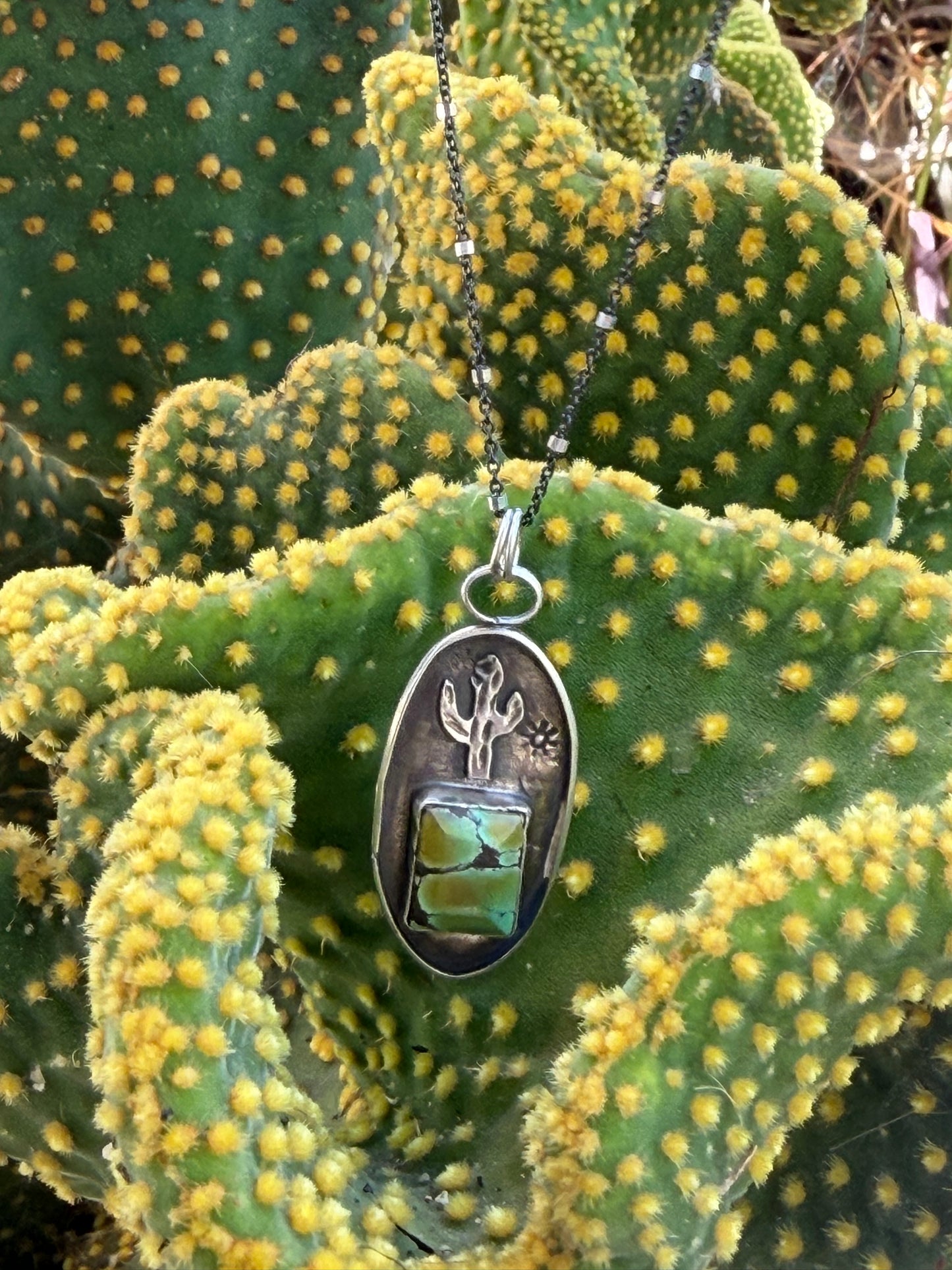 Saguarito Cactus