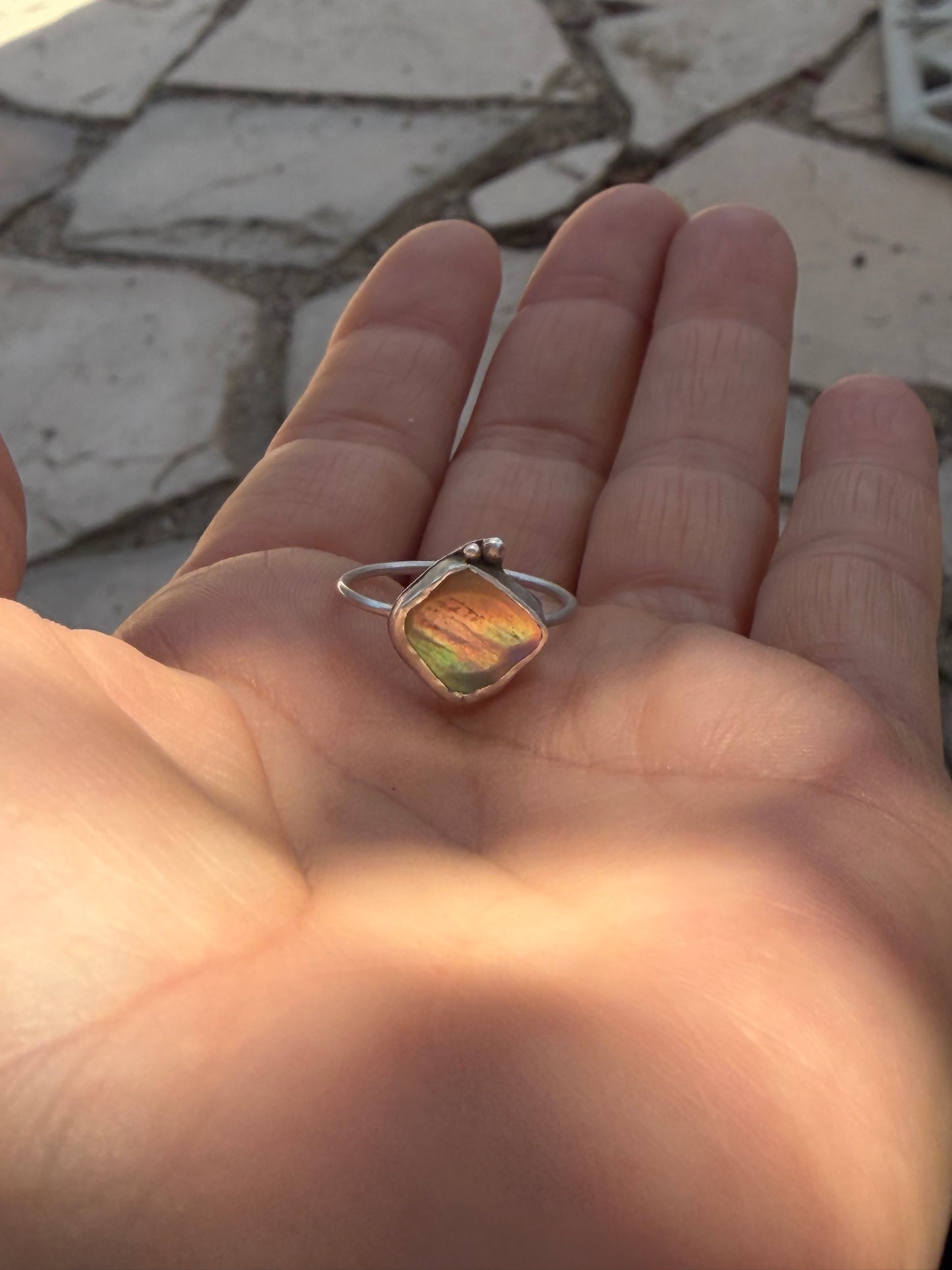 Dainty Abalone Shell