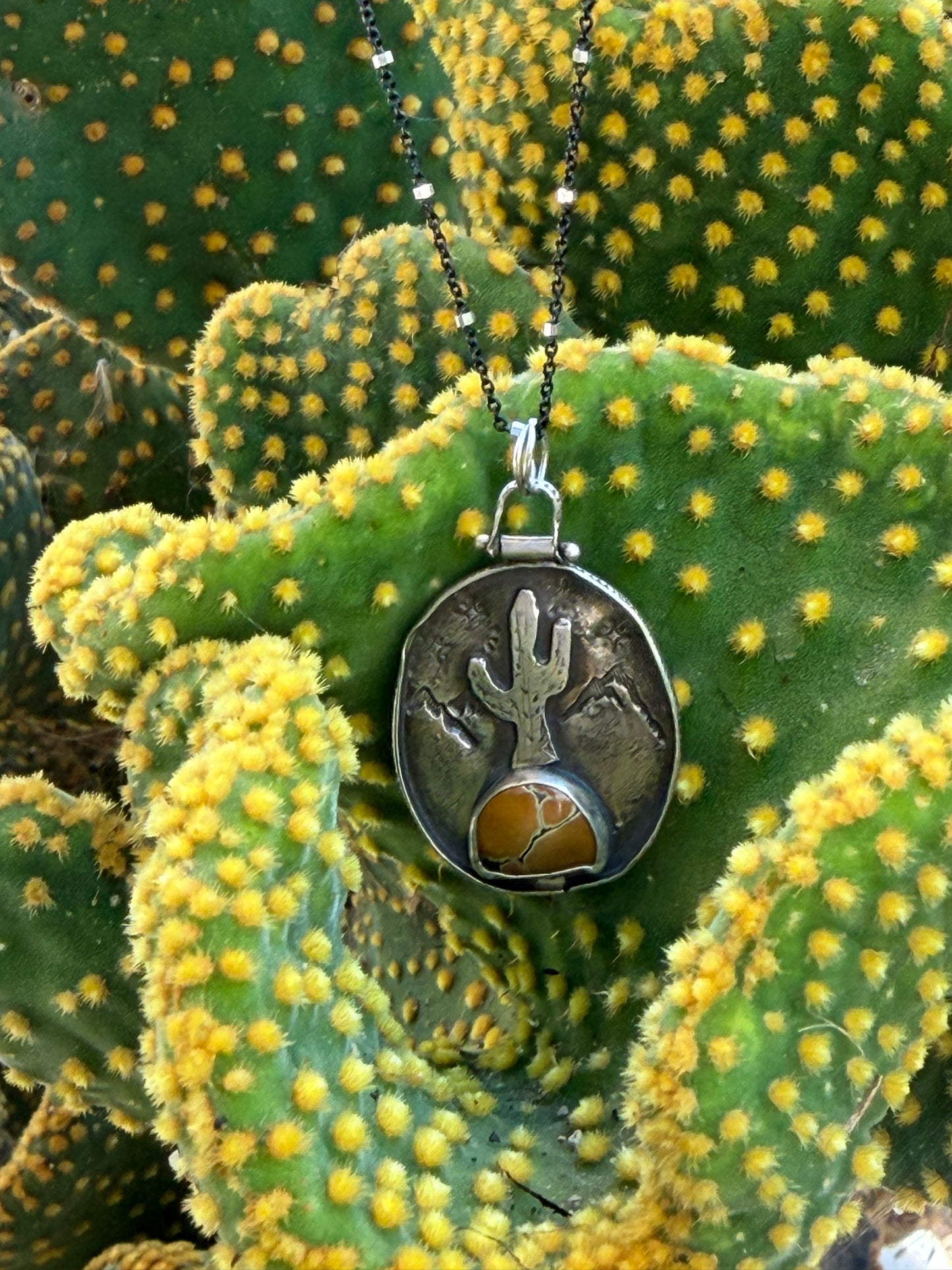 Saguaro Cactus
