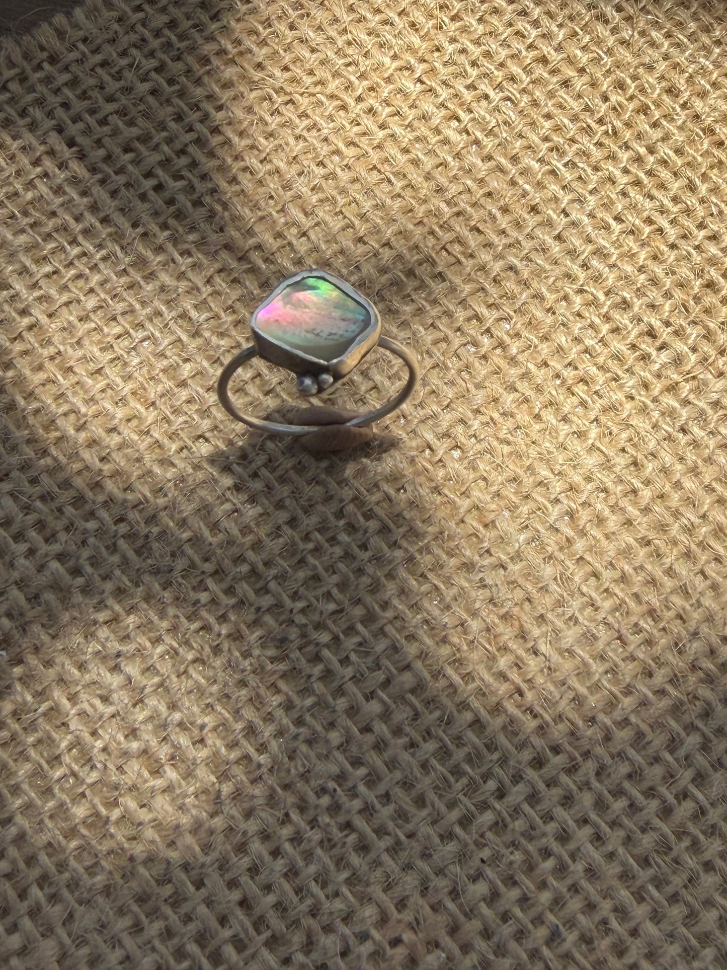 Dainty Abalone Shell